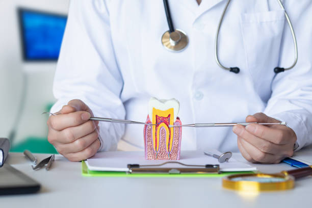 Best Emergency Dental Care for Broken or Chipped Teeth in Sto Brook, NY